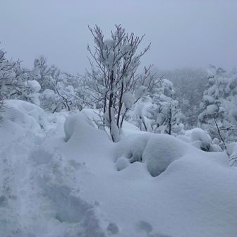 峠道へ🏔️🏃‍♂️