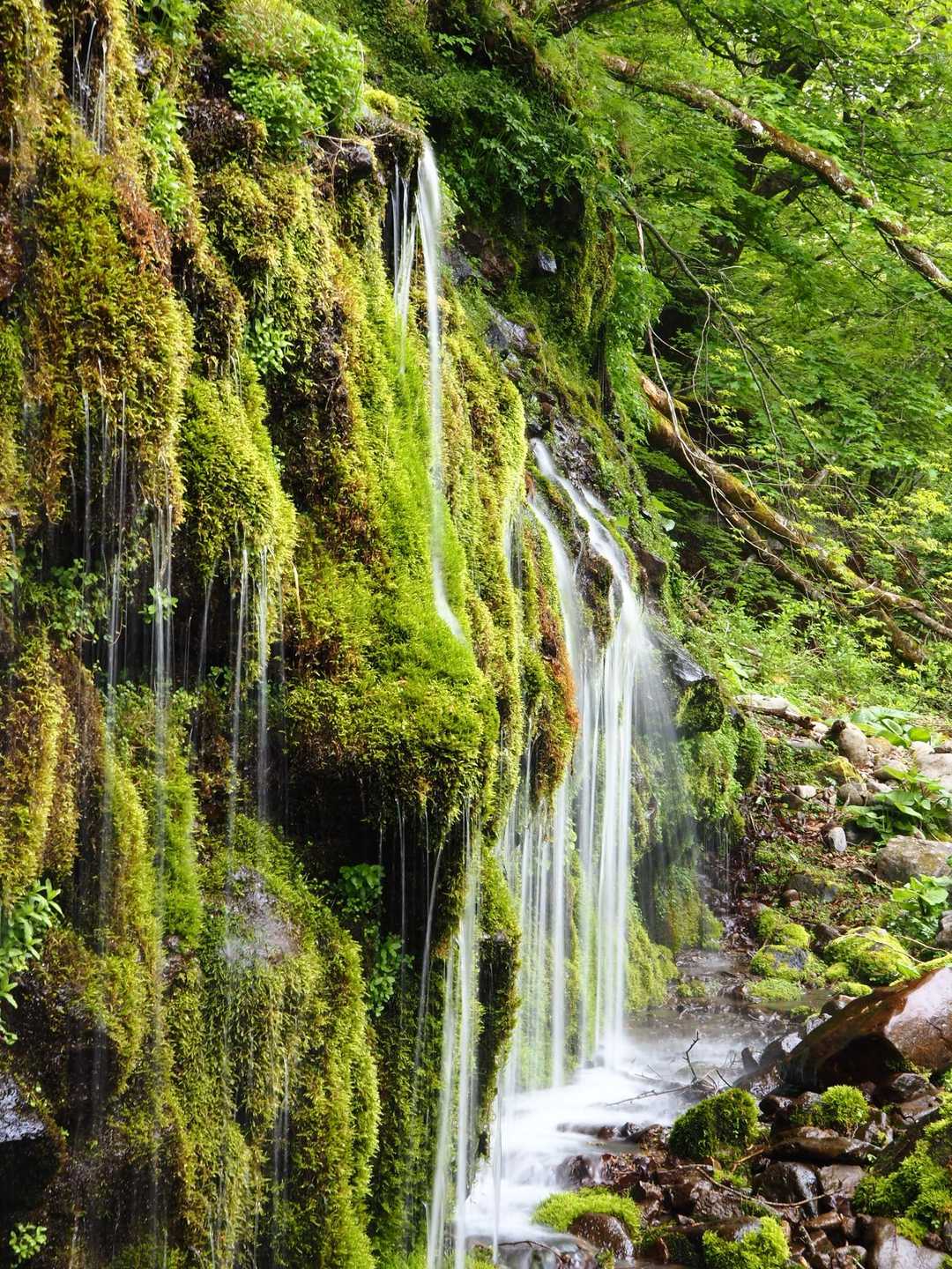 美し森山 周回コースの写真