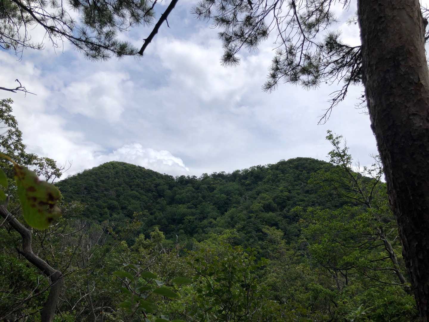 振り返って　
鞍掛山・後山