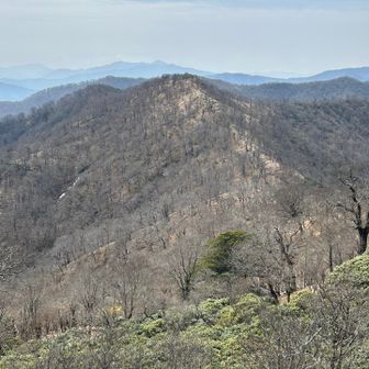 反対側の稜線。こっちも気持ちよさそう😊