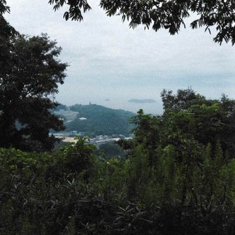 海が近いよね