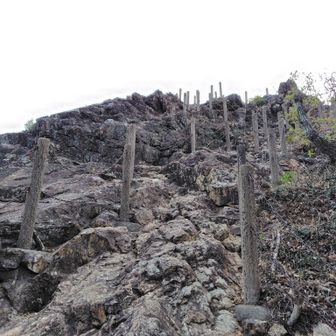 ごつごつした岩山の道🪨
転ばないように😾…
最近 足上がらなくなってきたな〜🙄
🍛か〜