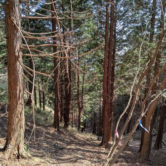 加部峠。下っていきます。行く道