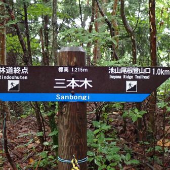 三本木