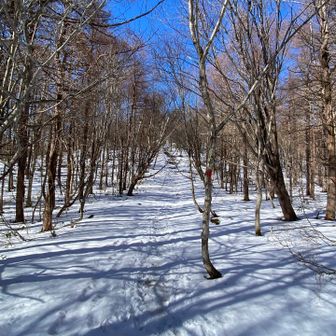抜けるような青空〜💕
来て良かった〜＼(^o^)／