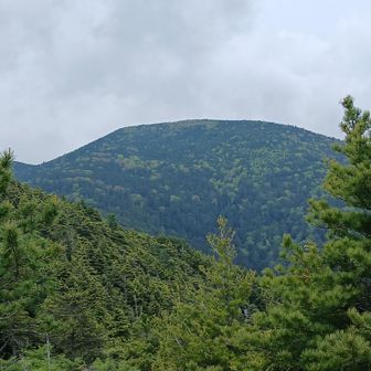 甲武信ヶ岳
やっと見えました