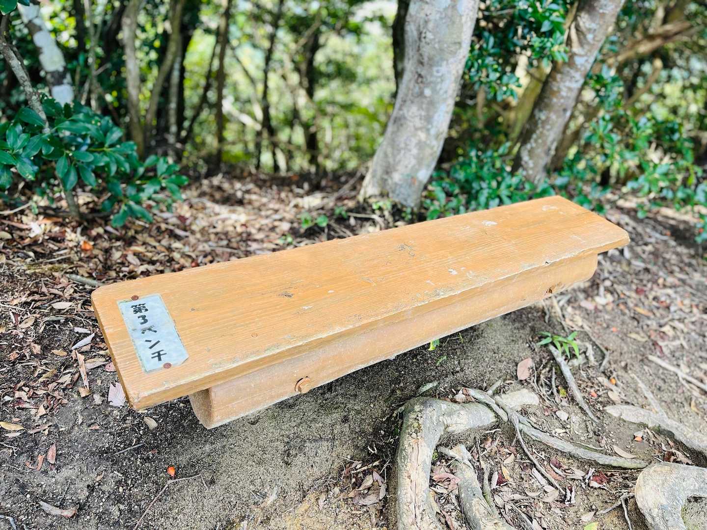 またベンチがありました🪵
休憩し放題です😄