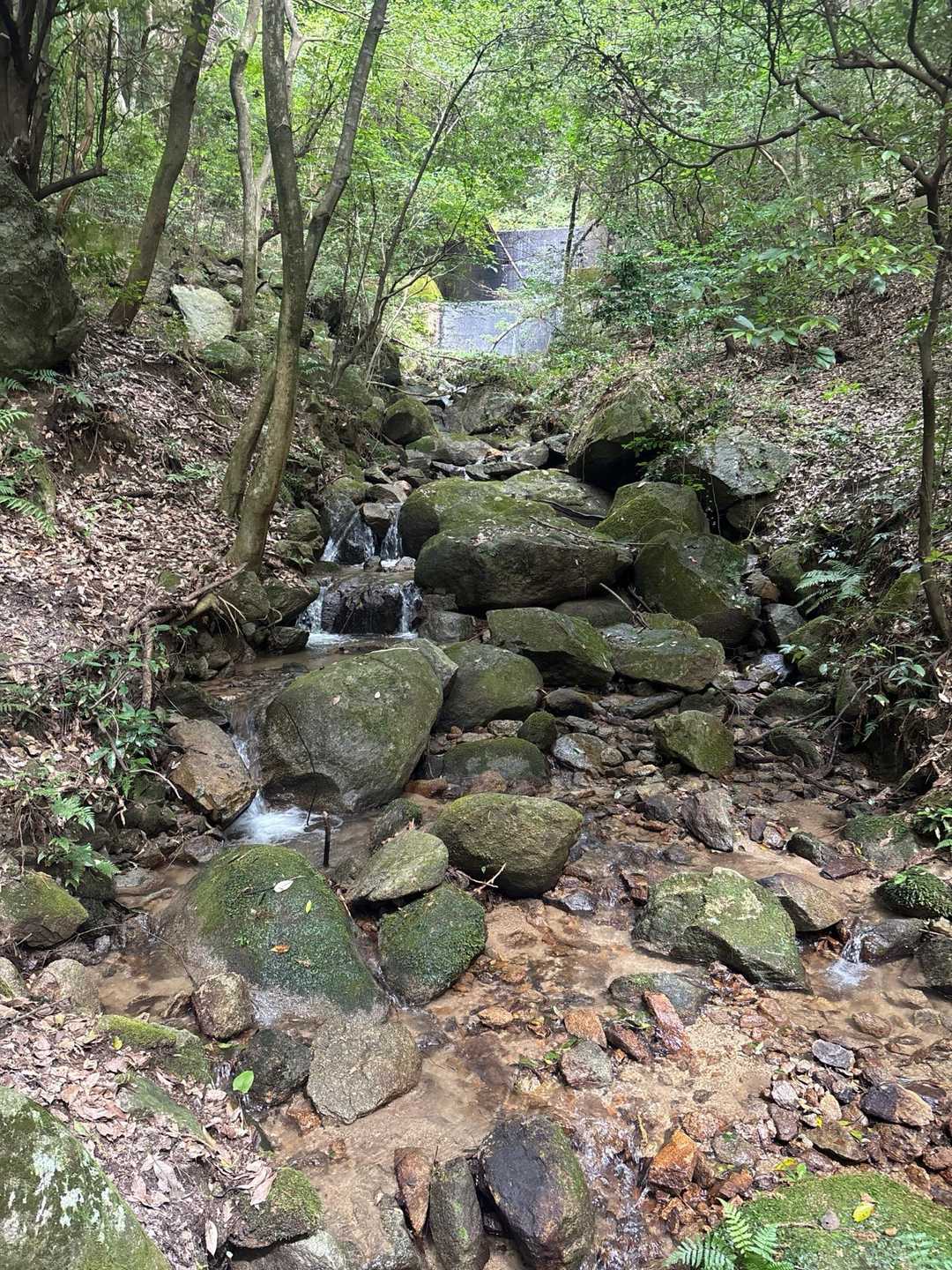 この川に沿って登ります♪♪