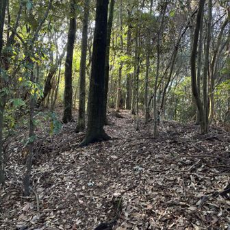 気持ちいい〜
まだ序盤だし、軽快♪