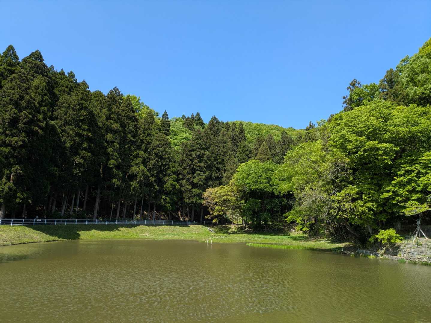 はじめまして✨️ため池さん😃

ため池から駐車場までは、木陰なく、おひさまサンサンの中を歩いたけど、山の中では、ず〜っと葉っぱが日傘代わりになってくれていて、木漏れ日の続く登山道を気持ち良く歩くことができました🎶
感謝です💖