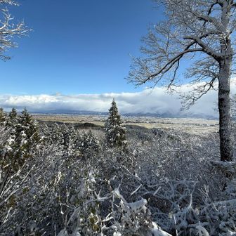 いつものアングルからです^_^
こっちは晴れててキレイです✨
西山三山方面は、新潟の冬！鉛色です💨