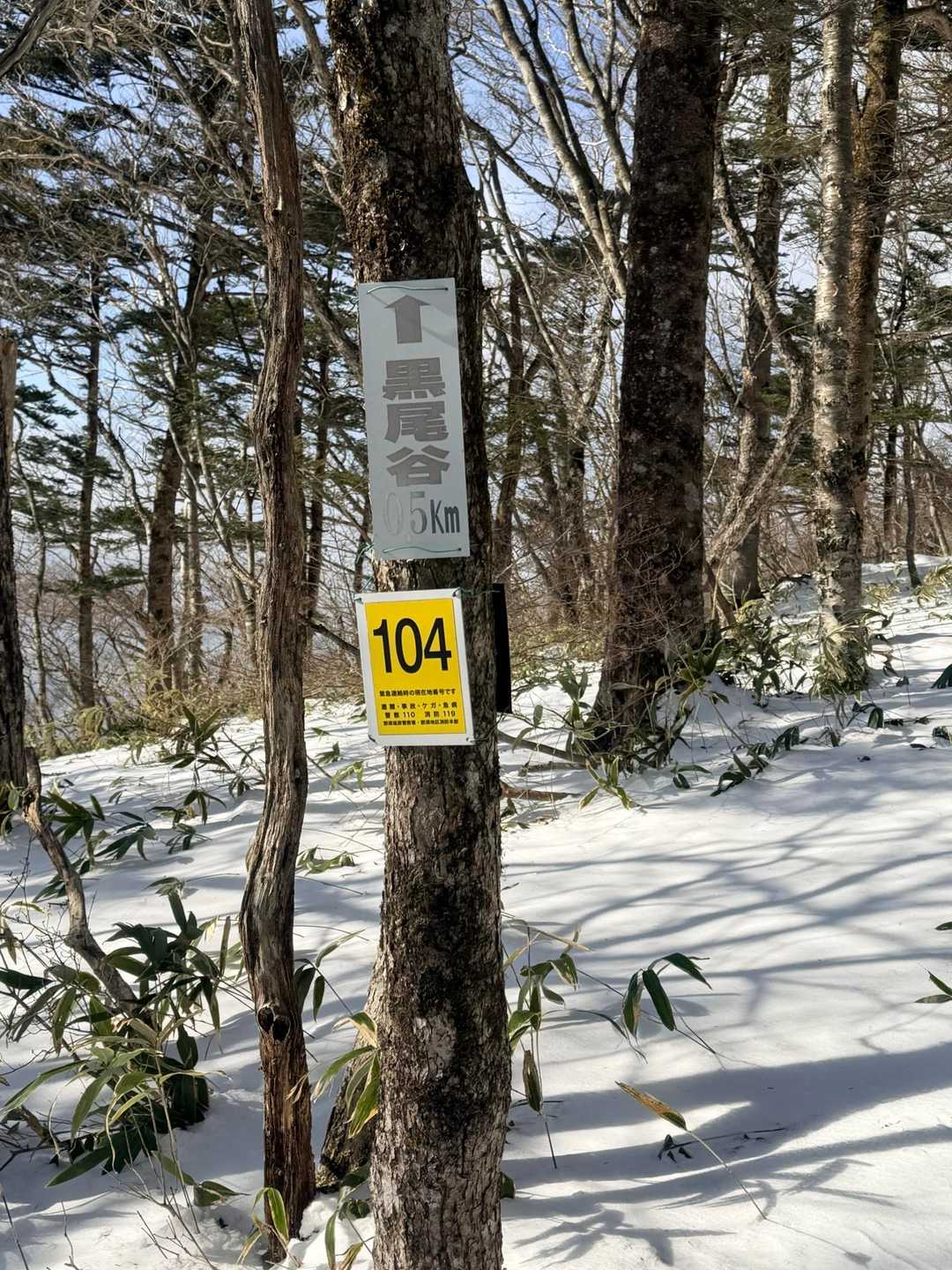 山頂まで後0.5kmとあるがこの先結構長く感じた😐
