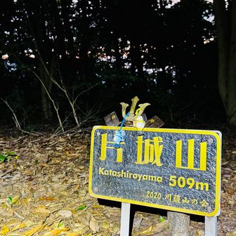 1st ピーク

森の中(･_･;

仕方ない
低山だもの…
