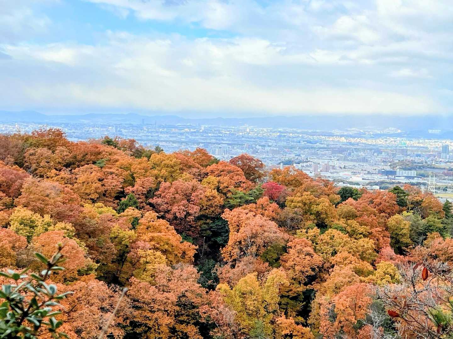 寝屋川公園駅-池之内山-星田駅 縦走コースの写真