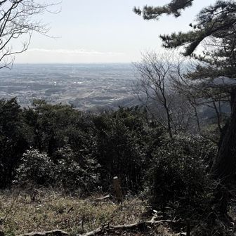 鬼腰山山頂、結構いい感じの景色が広がってていいね。一緒にいた人たちが富士山見えるのかなあって言ってたけど、ちょうど見えるとしたら、宝筐山の脇に見えるみたい（この時間は霞んでて見えず）