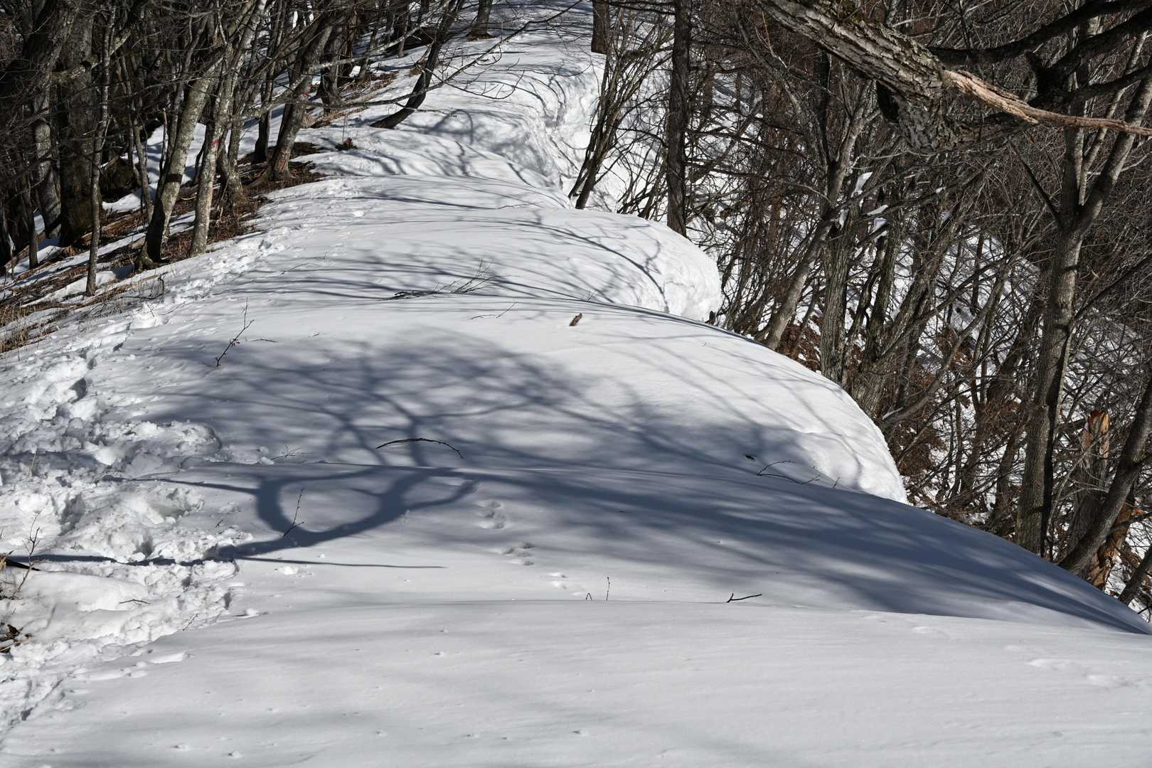 木賊山へ向かう途中。やや雪庇あり