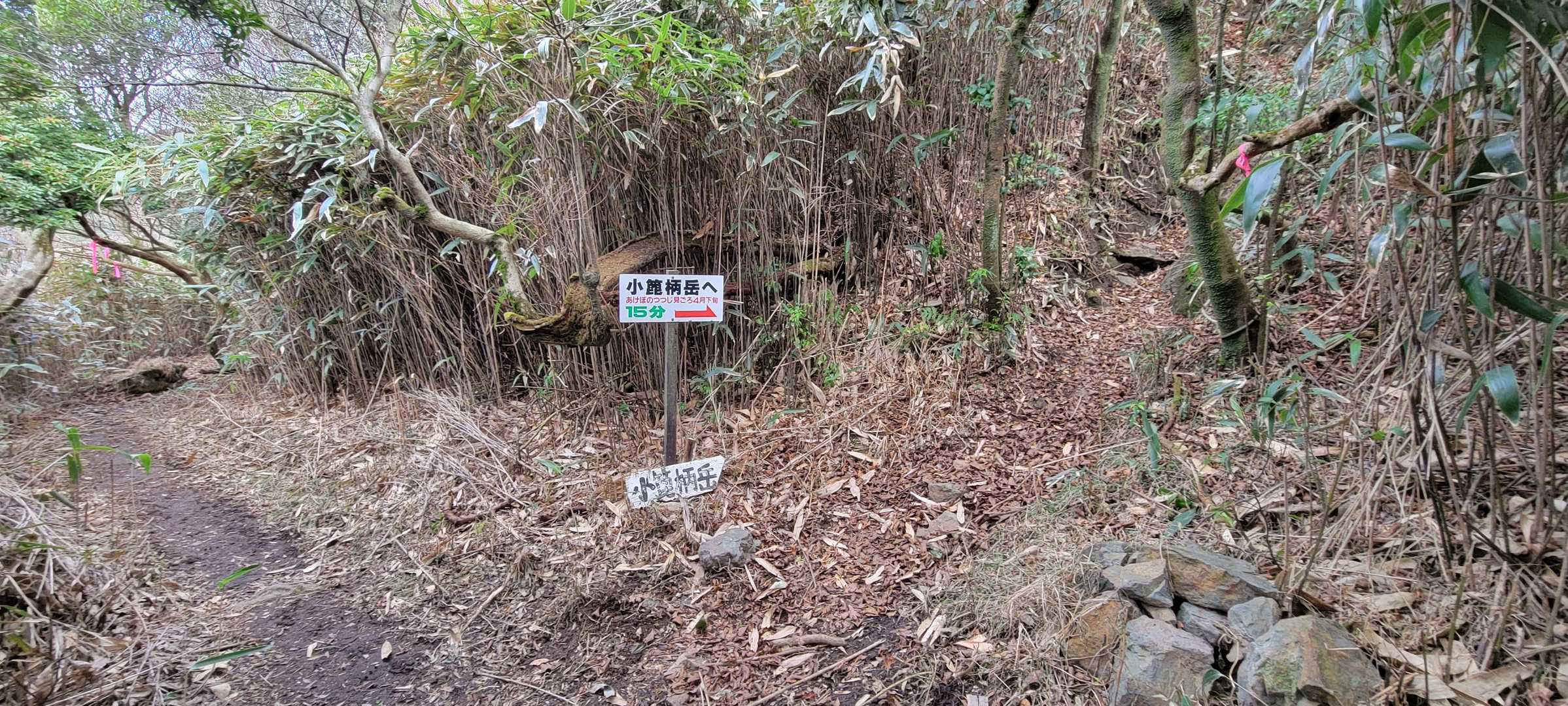時間に余裕が出来たので、３０分を費やして、小箆柄岳に寄ってみた。