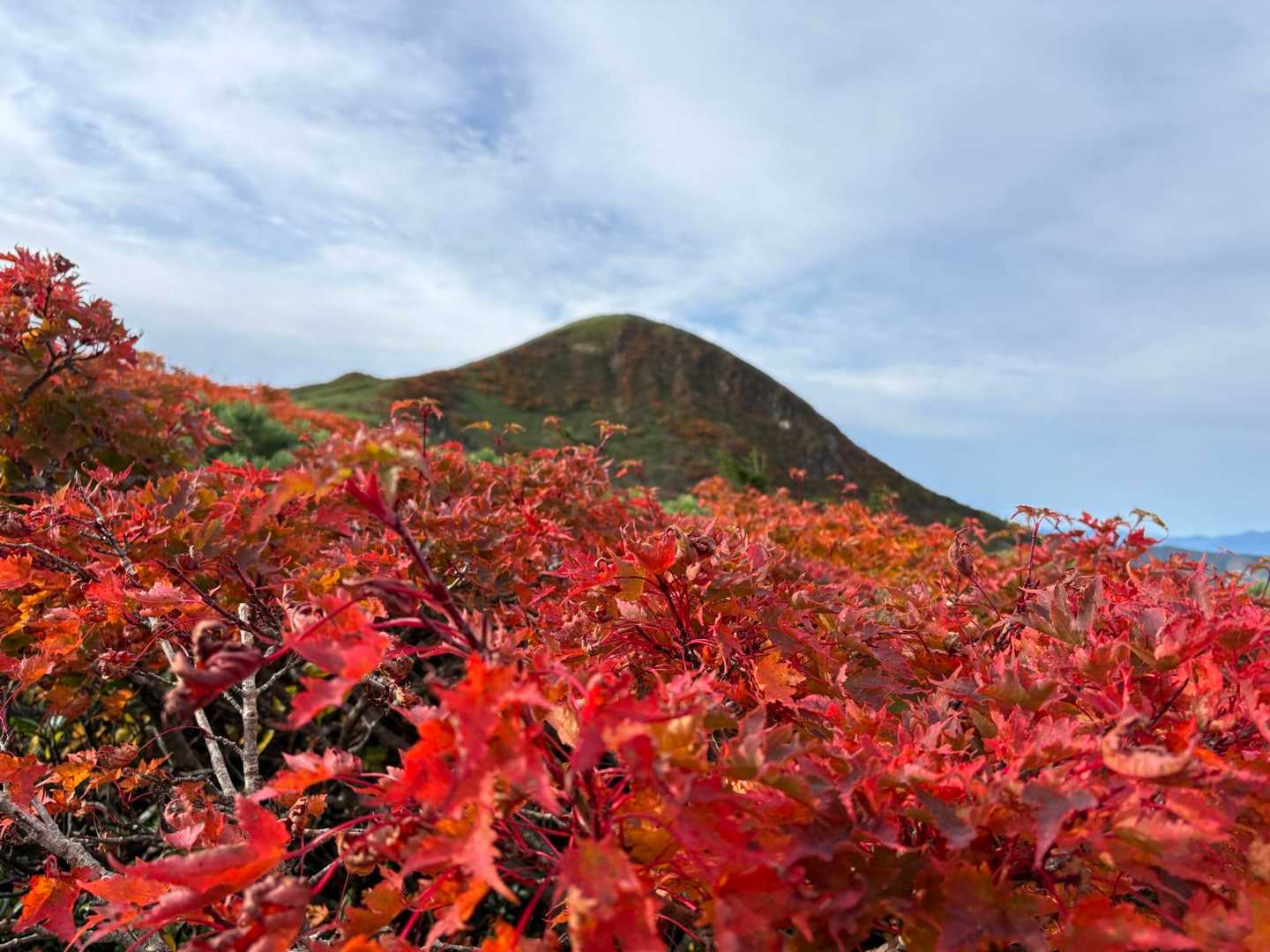 真っ赤っか🔴
ここが噂の撮影スポットかな？😊✌️