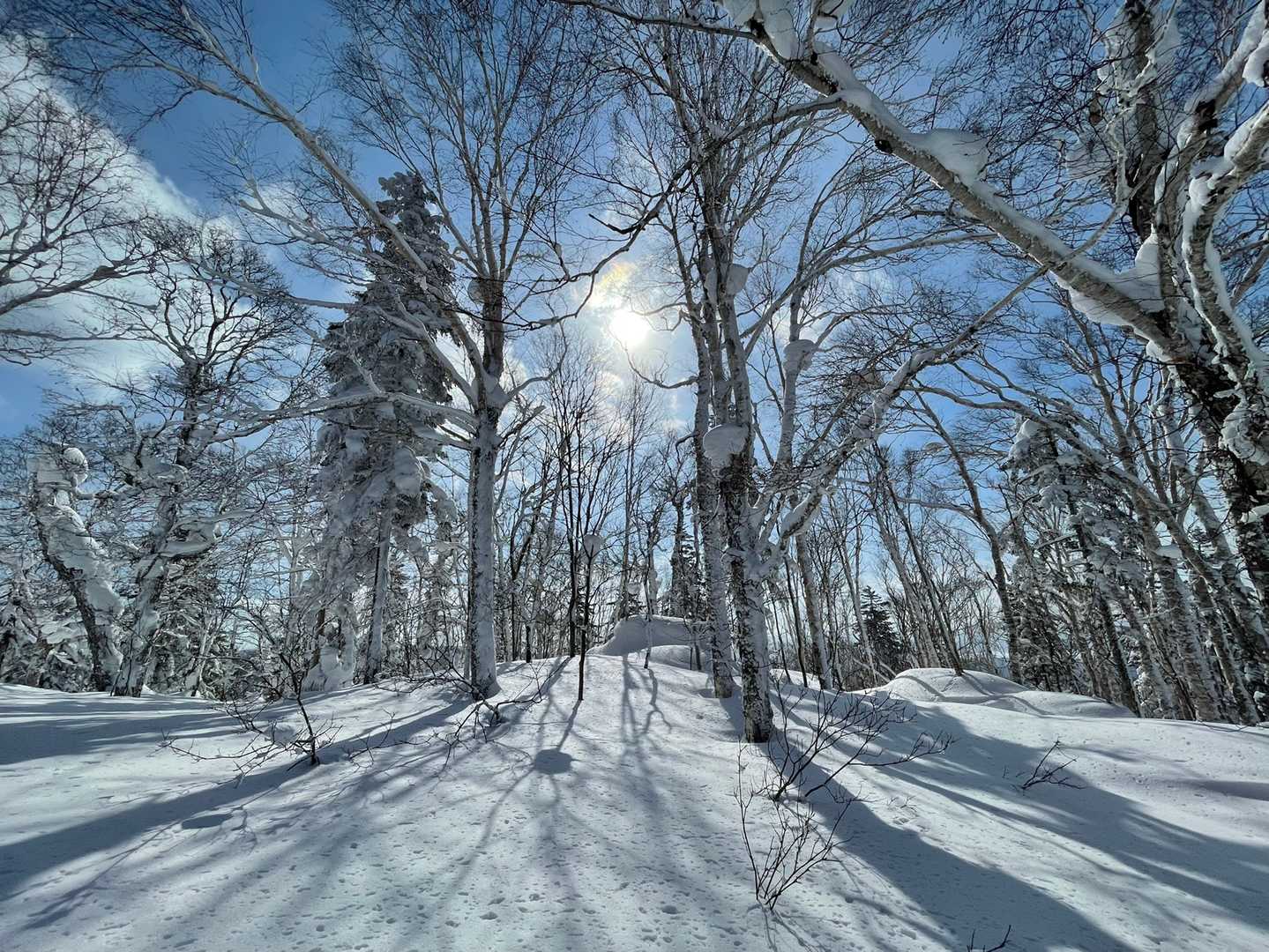 雪山ってほんとキレイ
