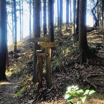 登りきったら奈良子峠