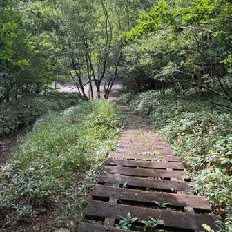 スタート地点を振り返って
登り易い階段です