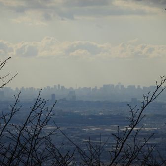 　大阪のビル群が見えます。でも、ここからすぐそこの醍醐山454m山頂へは行けません。「立ち入り禁止」との看板（無視して通行する登山者がたくさんいましたが、私有地ですから私は地主の気持ちを尊重します）。
　今日も無事の山行でした。最後までお読み下さりありがとうございました。
