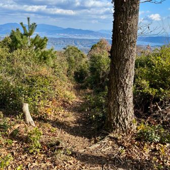 麓まで下りるこちらのルートはやや荒れてるそうな。