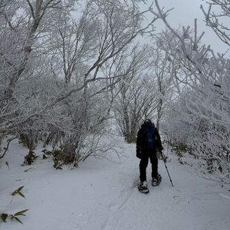 樹氷のトンネル
