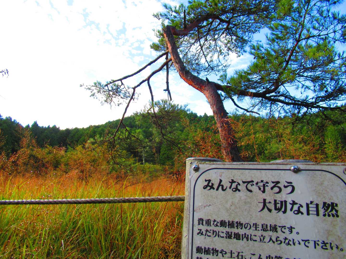 観光化は必要ないかも。