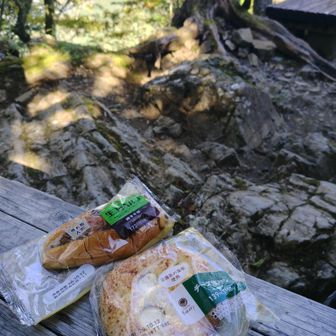 でもお腹が減ったのでお昼休憩。
すると後からコーヒーを注文した方のおこぼれを聞けた。というのも珈琲を注文するとオーナーさんに歌のリクエストもできるそうで。
生歌の「岳人の歌」を聴きながらパンを食べた。とても愉快で幸せな気分。