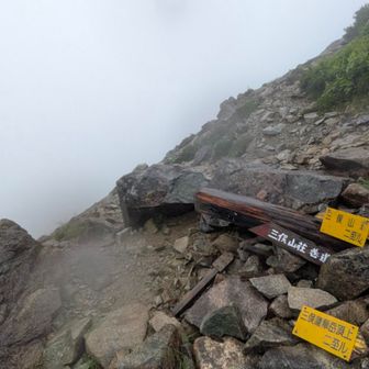 三俣山荘への巻き道と三俣蓮華岳との分岐
巻き道には雪渓があり、氷が露出していて雨の日は滑るよ
と教えて頂いたので、三俣蓮華岳に登ります👣
ココでは、小舎でたくさんお話した女性とも合流して４人で進むことに🎶