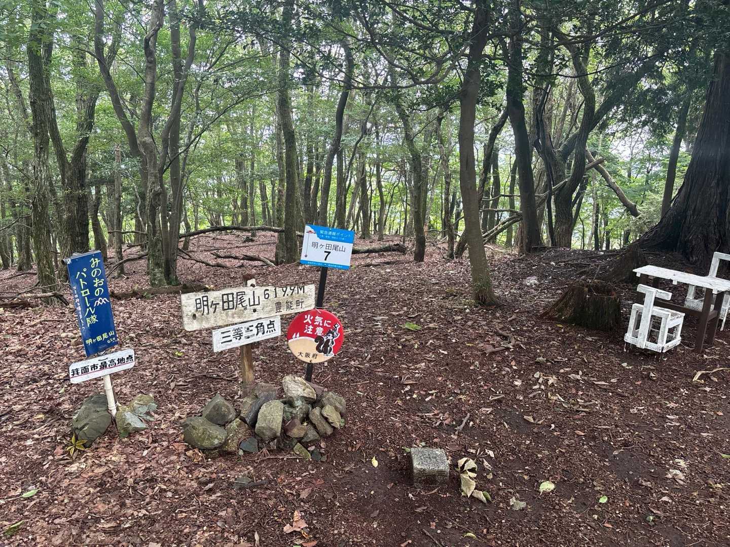 山頂にトウチャコ