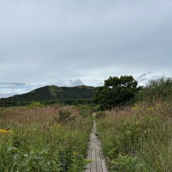 八島ヶ原湿原。
ここまで、降りてきたら観光客の方々増えてきた。