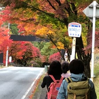 テクテクマリコ