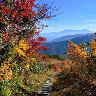 紅葉ロードを、ずっと焼山・火打山・妙高山を眺めながら降る。