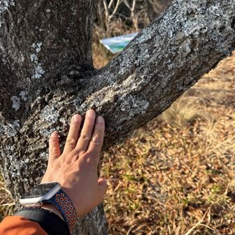 三角点など無いので、木にタッチ。😁
