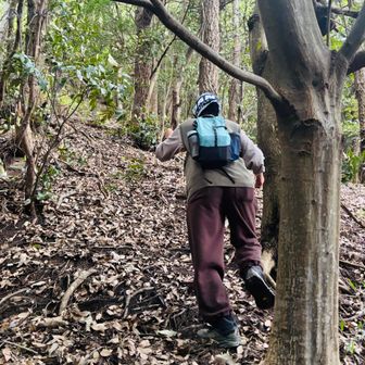 登山道ほぼ
わからずの
激登り💦
