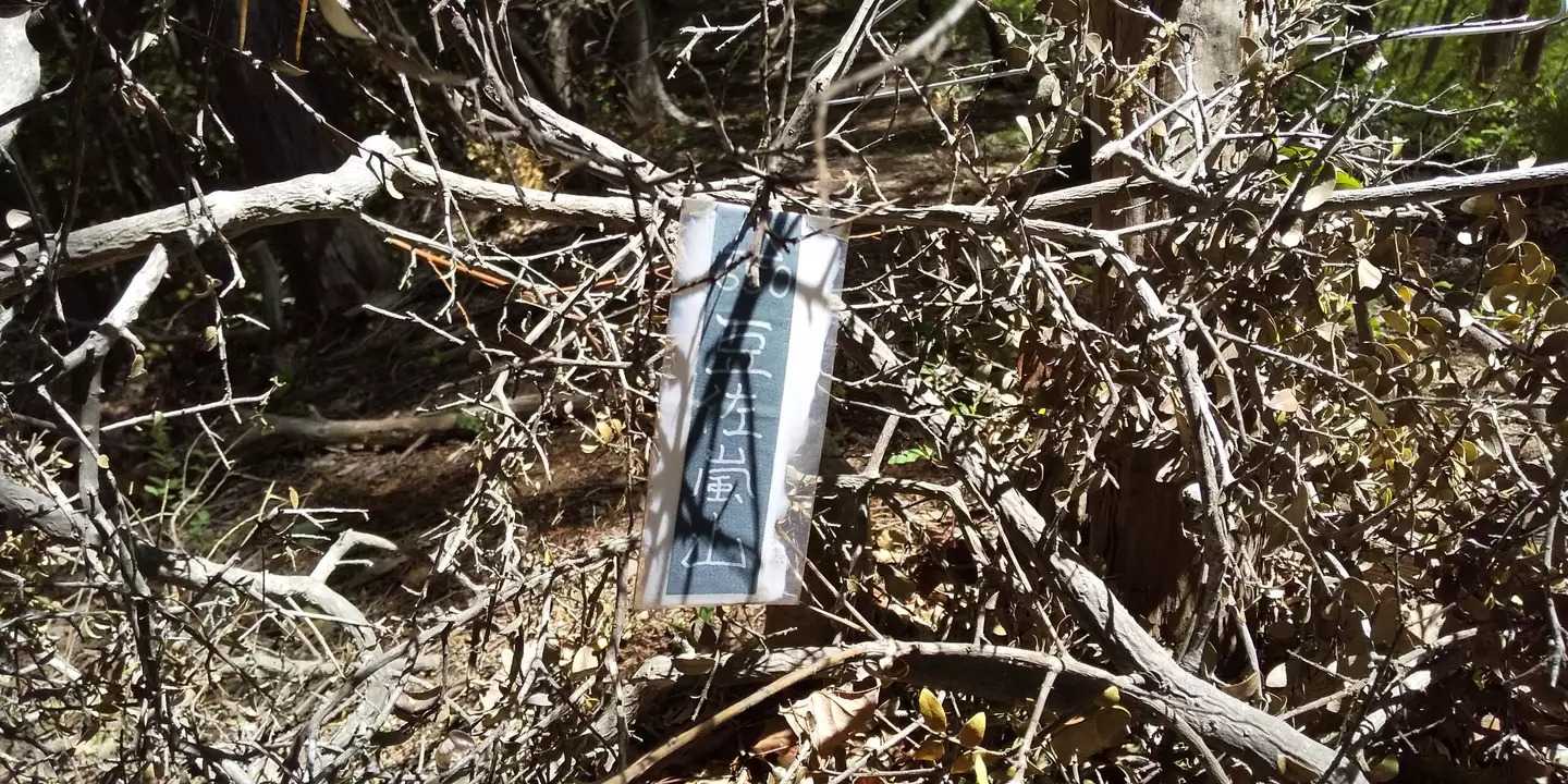 豆佐嵐山の写真