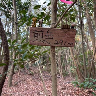 ほっこり。かわいい。