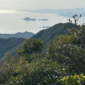 お昼いただきます。