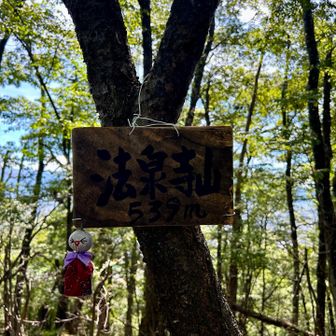 あれ、八王子山目指してた気がするけど
🤭まいっか