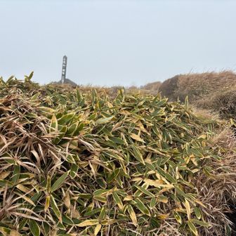 みえたー（ ;  ; ）