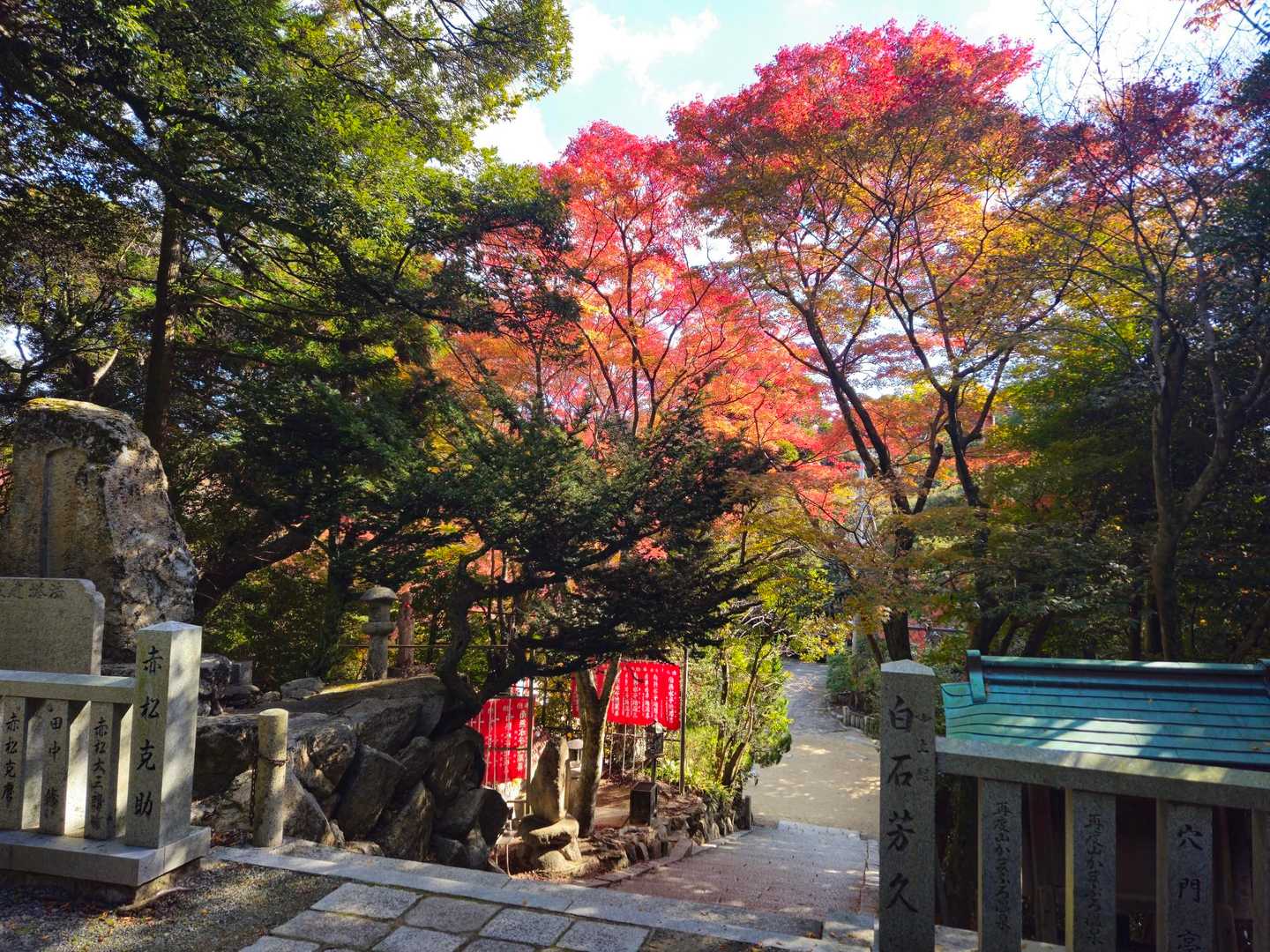 カエデの紅葉🍁も素敵。