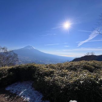 一日中快晴。気温一桁台、微風。気持ちいい