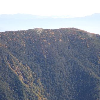 笹山
地味すぎる🤣