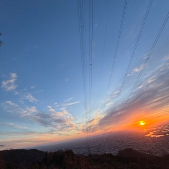 天使の羽のよう