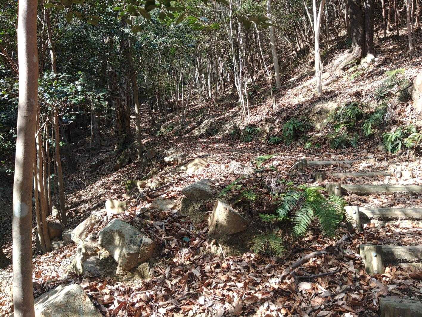 途中からガレ場 岩を避けながら🪨
足首 ひざを傷めないように注意して⚠️