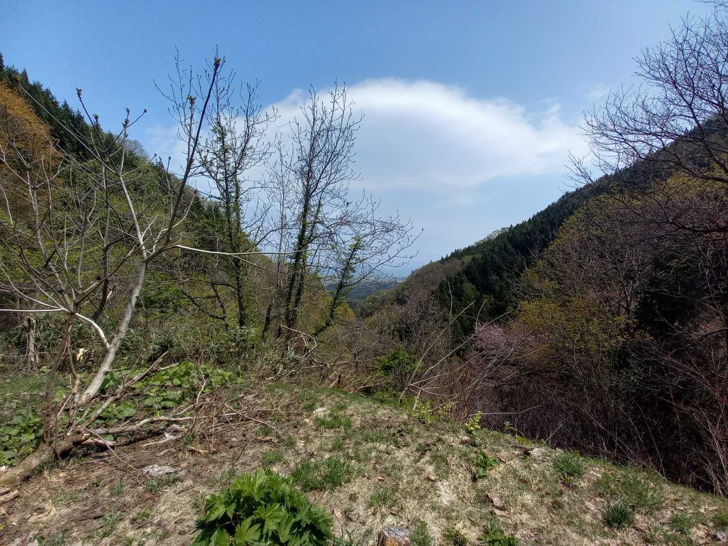 久渡寺山 往復コースの写真
