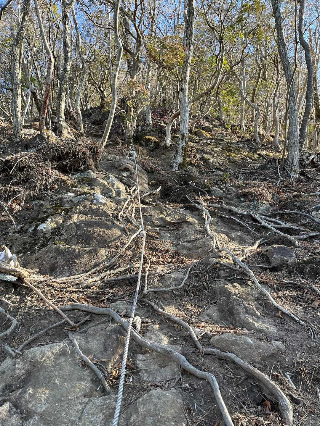 登り始めてしばらくしたら
やっぱね😰

短距離でもﾎﾝﾏに急登💦
かなりｷﾂｲ上りです〜💦

ｻﾞｯｸが重くてひっくり返りそう😰

ﾊｲｷﾝｸﾞｺｰｽってあったけど
ﾊｲｷﾝｸﾞｺｰｽじゃありません！

険しい登山道です〜😰😰
