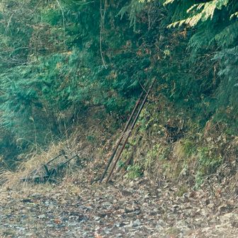 わかりにくいハシゴを発見。